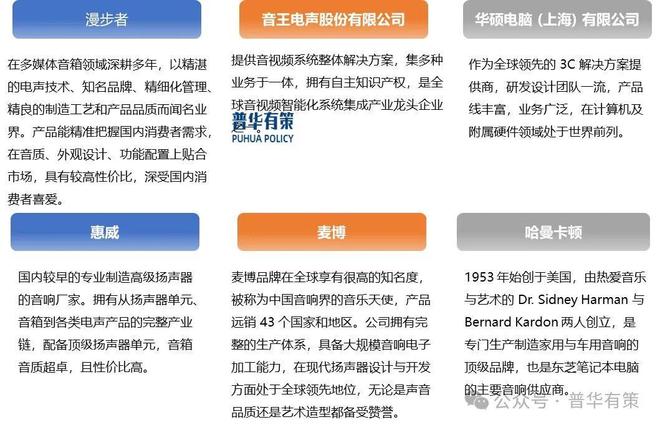 机扬声器行业市场调研及发展趋势预测报告凯时尊龙人生2025-2031年计算(图2)
